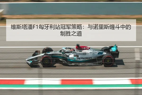 维斯塔潘F1匈牙利站冠军策略：与诺里斯缠斗中的制胜之道